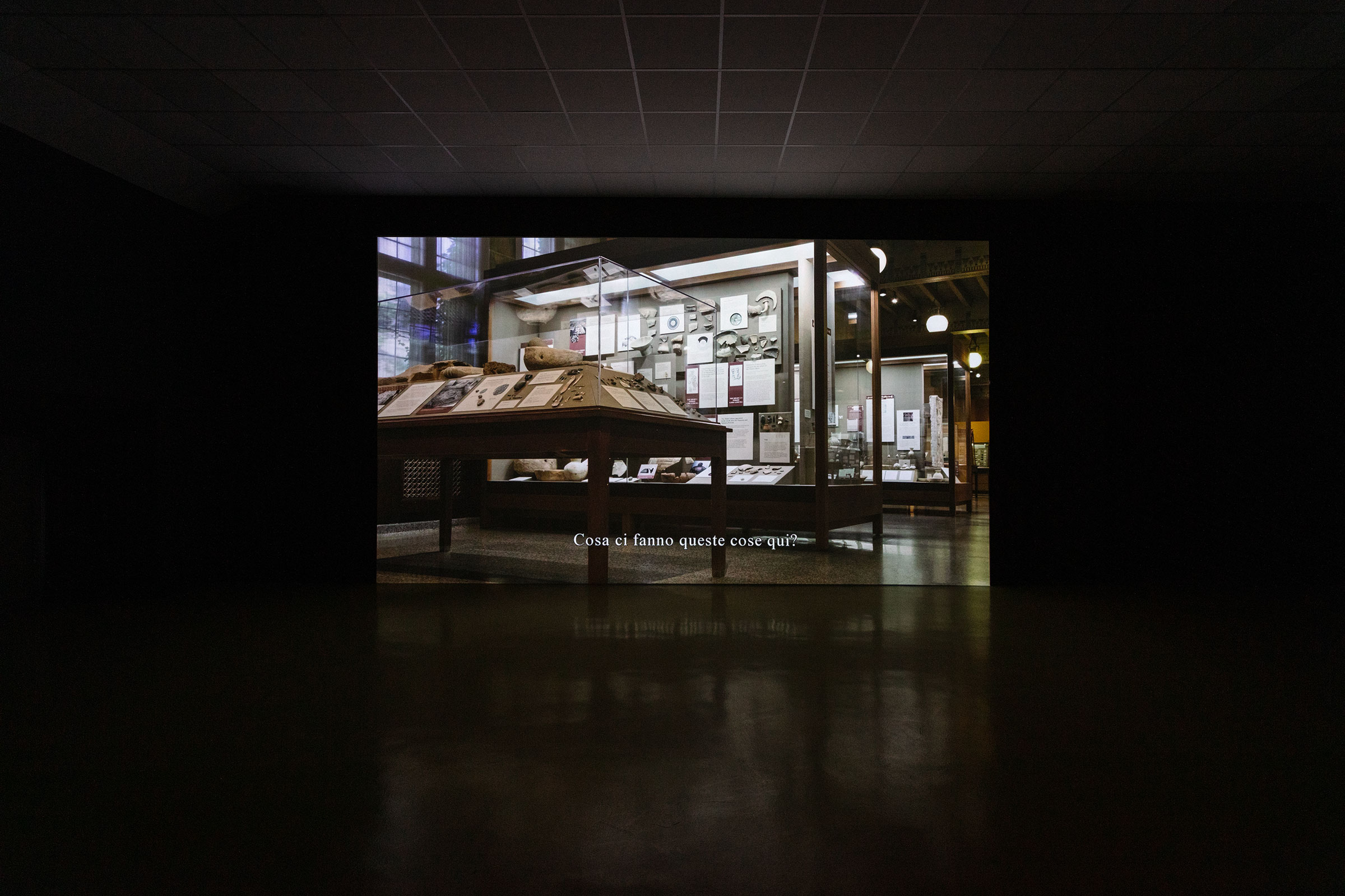 Michael Rakowitz, The ballad of Special Ops Cody, 2017